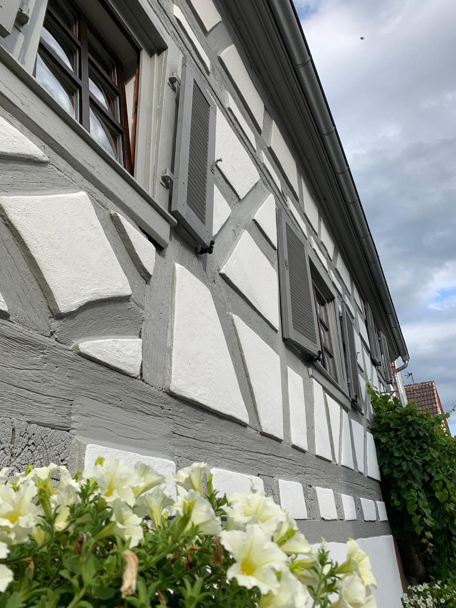 Ferienwohnung Sambachhaus Глайсцелн-Глайсхорбах Екстериор снимка