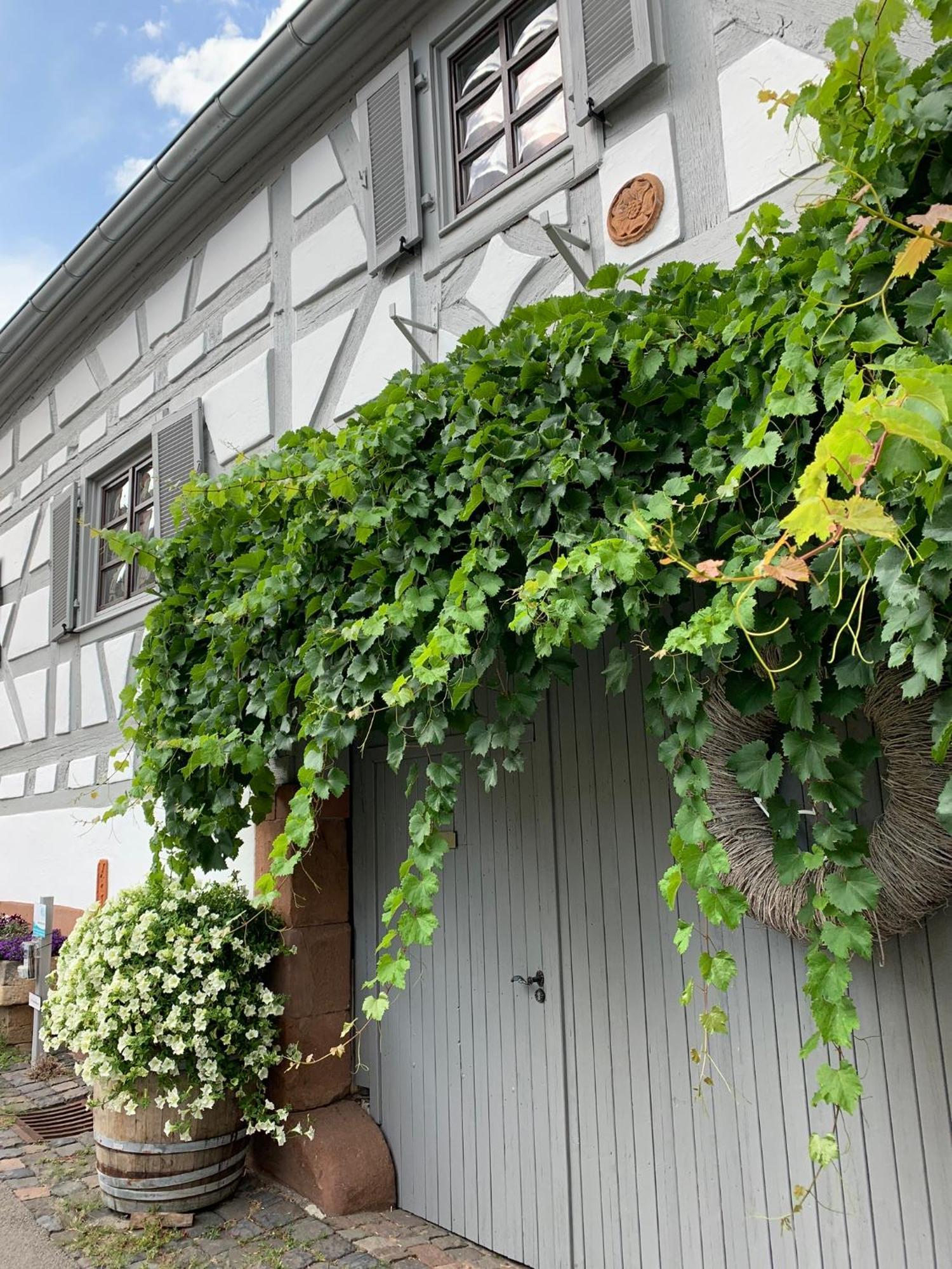 Ferienwohnung Sambachhaus Глайсцелн-Глайсхорбах Екстериор снимка
